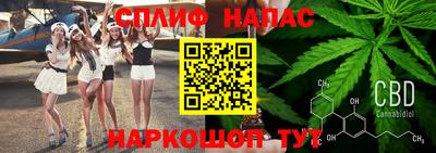 СК Краснознаменск