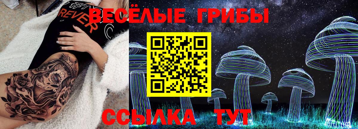 Псилоцибиновые грибы MAGIC MUSHROOMS Учалы