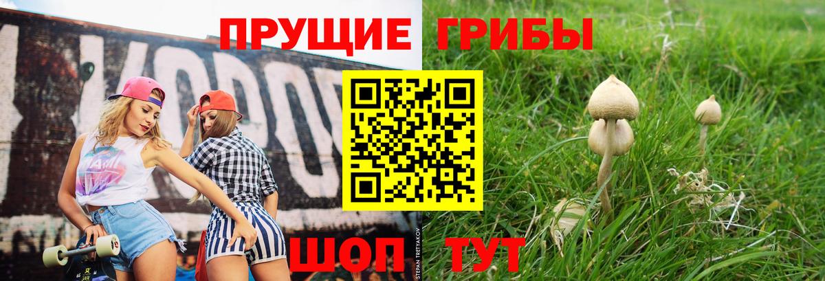 Псилоцибиновые грибы мухоморы  даркнет сайт  Учалы  Вход с VPN 
